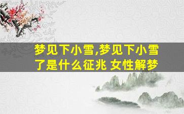 梦见下小雪,梦见下小雪了是什么征兆 女性解梦